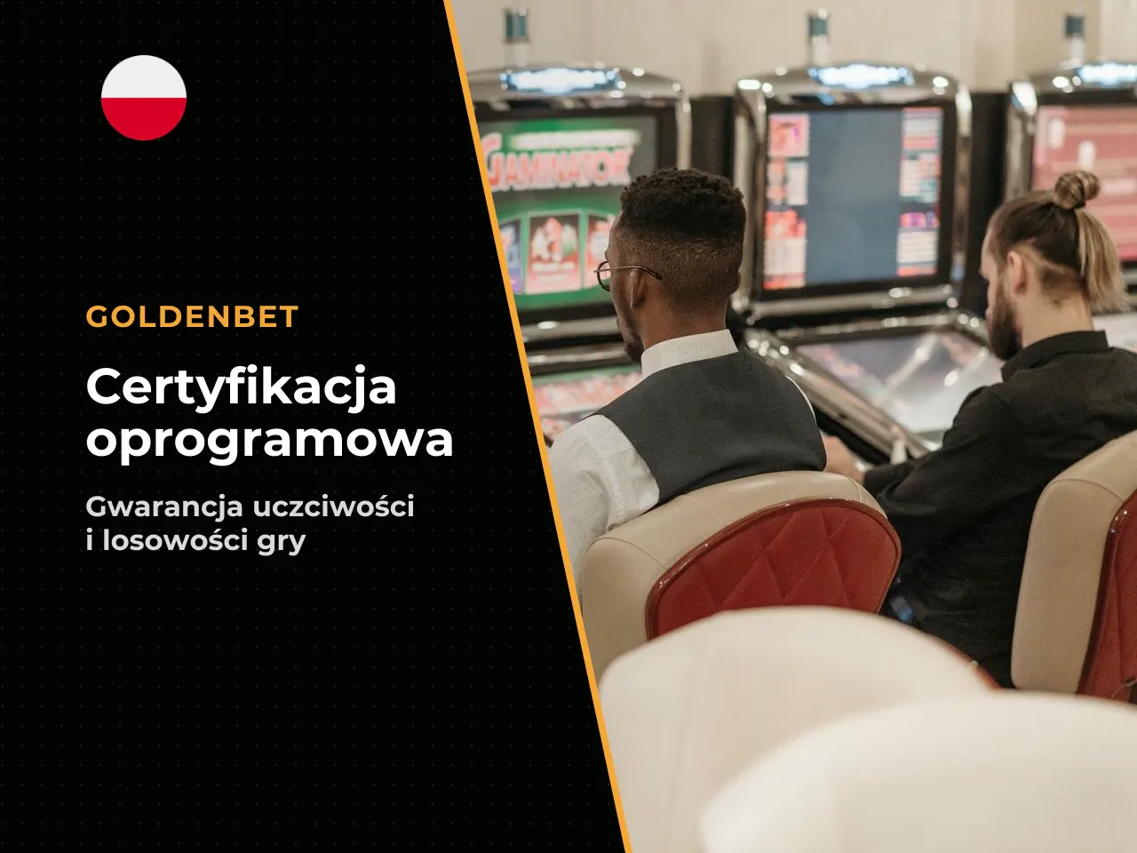Zakres oceny obejmował weryfikację oprogramowania, przegląd