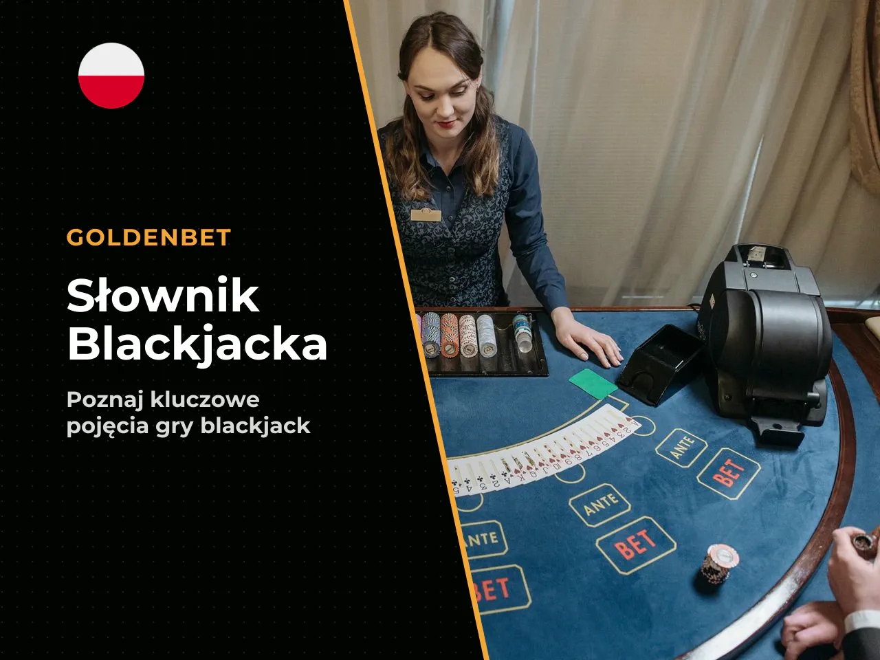 Słownik pojęć blackjacka Glossary
