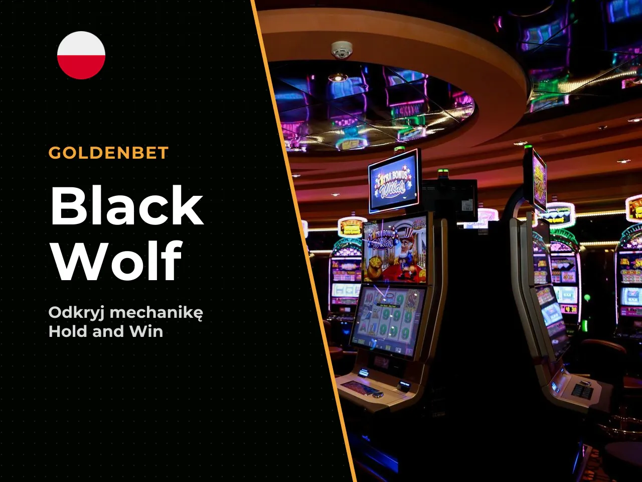 Black Wolf w katalogu online casino