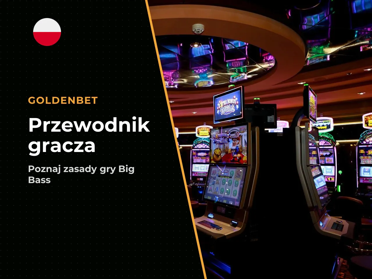 Mini-słownik pojęć przydatnych przy Big Bass