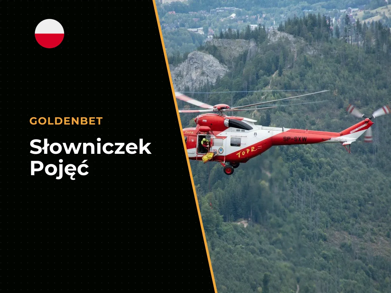Słowniczek pojęć, które warto znać przed