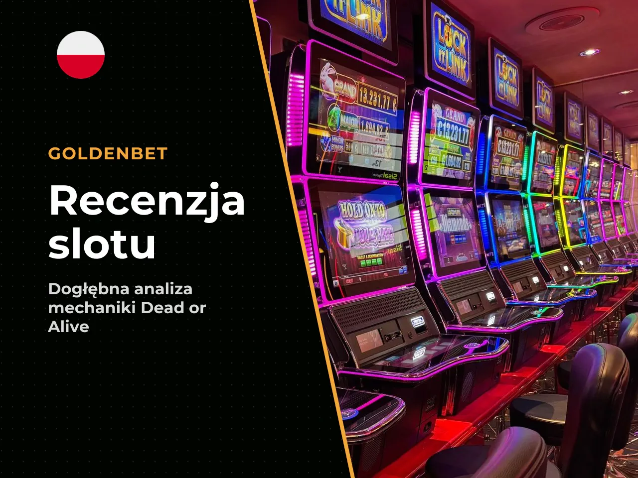 Dla kogo ten slot ma sens