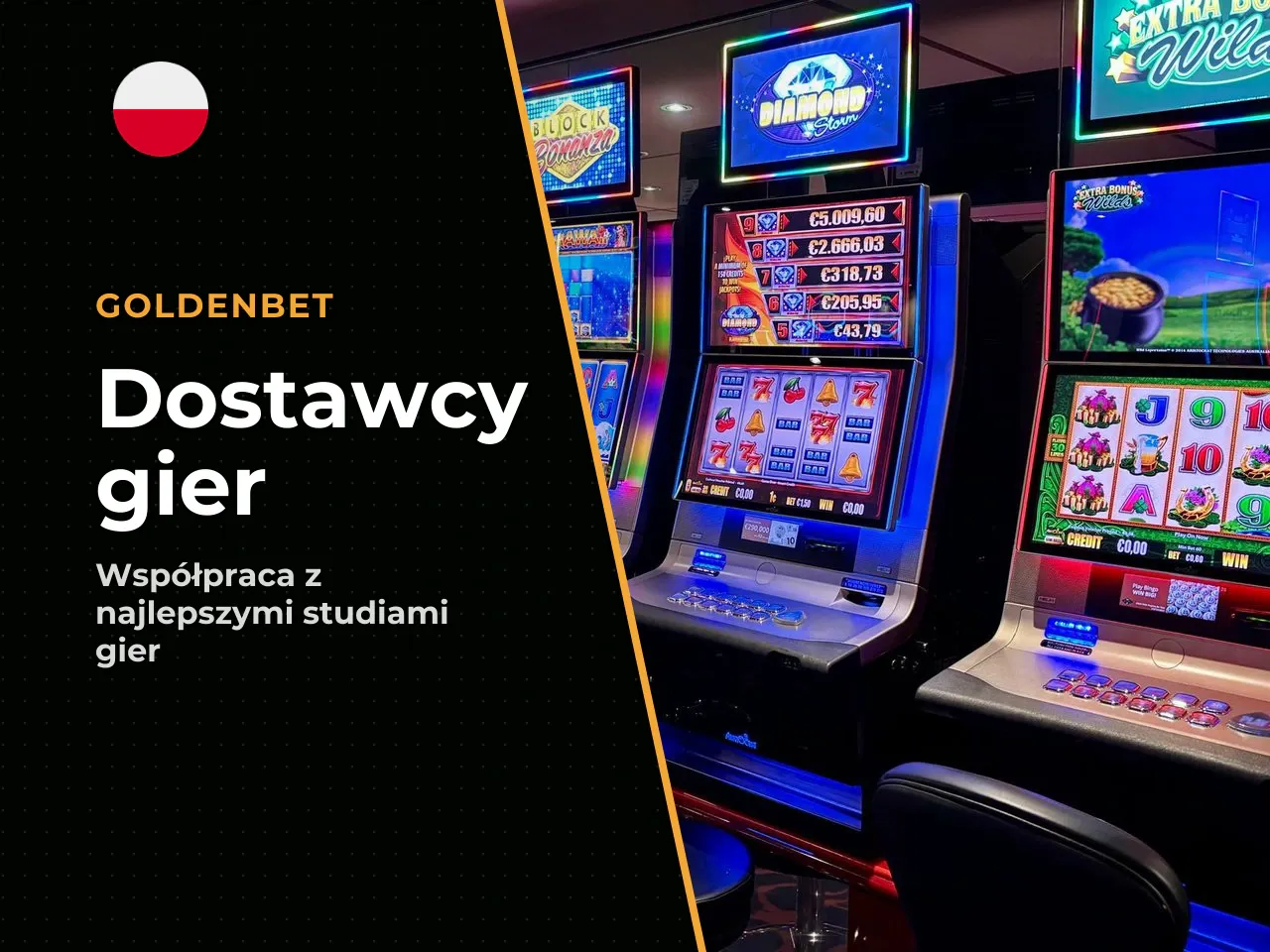 Wiodący dostawcy oprogramowania software providers
